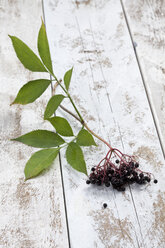 Elderberries (Sambucus) with leaves on white wooden table, studio shot - CSF020260