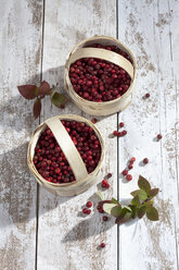 Preiselbeeren (Vaccinium vitis-idaea) in zwei kleinen Körben auf einem Holztisch, Studioaufnahme - CSF020274