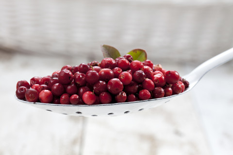 Preiselbeeren (Vaccinium vitis-idaea) auf einem Löffel, Studioaufnahme, lizenzfreies Stockfoto