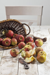 Bio-Äpfel (Malus), Korb und ein Messer auf weißem Holztisch, Studioaufnahme - CSF020299