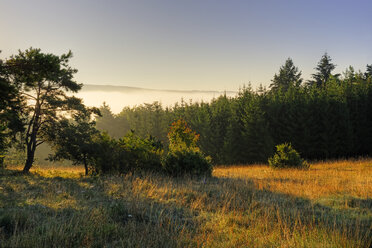 Deutschland, Bayern, Oberbayern, Altmühltal, Schellenburg vor dem nebligen Altmühltal - LB000393