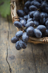 Bunch of blue grapes in basket - LVF000254