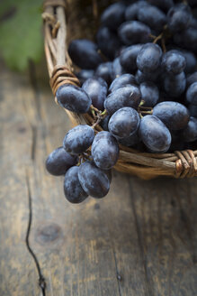 Blaue Weintrauben im Korb - LVF000254