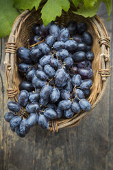 Bunch of blue grapes in basket - LVF000255