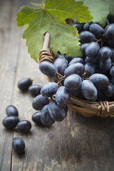 Bunch of blue grapes in basket - LVF000256