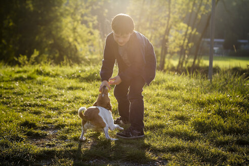 Deutschland, Vaihingen, Junge spielt mit Hund - SBDF000293