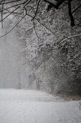 Deutschland, Vaihingen, Schneebedeckte Landschaft - SBDF000284