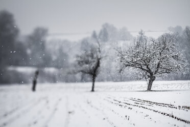 Deutschland, Vaihingen, Schneebedeckte Landschaft - SBDF000286