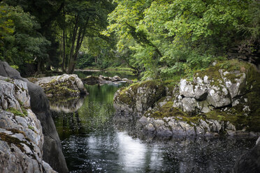 Great Britian, Wales, Betws-y-Coed, Conwy river Snowdonia National Park - ELF000572