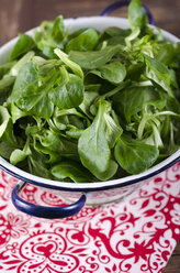 Lamb's lettuce in a colander on wooden table - ODF000585