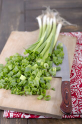 Chopped leek on chopping board - ODF000600