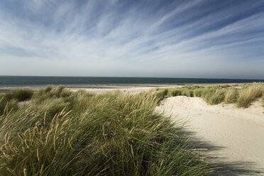 Holland, Westenschouwen, coast, North Sea - MYF000041