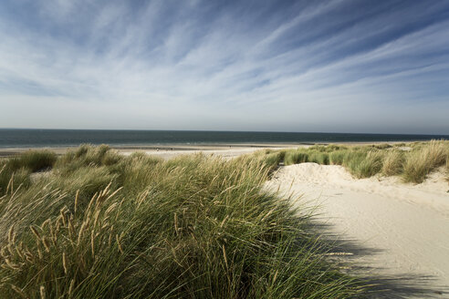 Holland, Westenschouwen, Küste, Nordsee - MYF000041