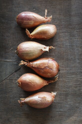 Six shallots in a row on wooden table, studio shot - EVGF000253