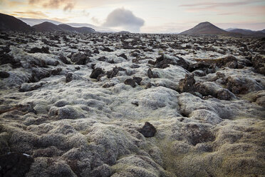 Island, vulkanische Felsen mit Moos bewachsen - MBEF000770