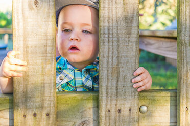 USA, Texas, Boy looking through fence latches - ABAF001035