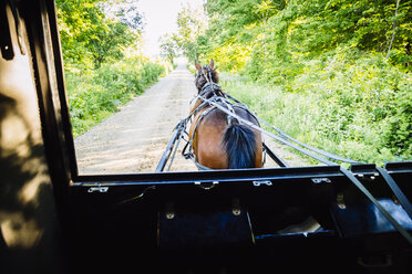 USA, Indiana, Shipshewana, Amish buggy and horse - MBE000788