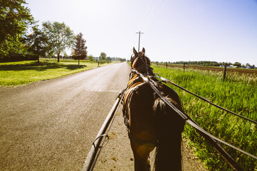 USA, Indiana, Shipshewana, Amish buggy and horse - MBE000789