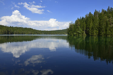 Montenegro, Crna Gora, Crno Jezero, Durmitor-Nationalpark - ES000641