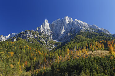 Austria, Styria, Grosser Oedstein, Gesaeuse National Park - GFF000269