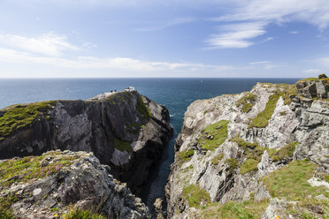 Irland, Landschaft am Mizen Head - SRF000354