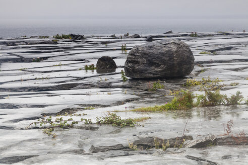 Irland, Grafschaft Clare, Küstenlandschaft bei Doolin - SRF000369