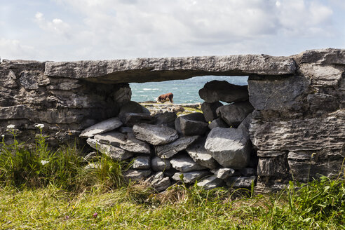 Irland, Grafschaft Clare, Steinmauer am Meer bei Doolin - SRF000371