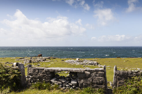 Irland, Grafschaft Clare, Steinmauer am Meer bei Doolin - SRF000372