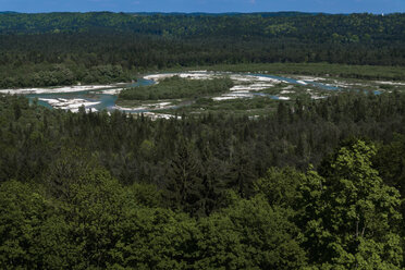 Deutschland, Oberbayern, Fluss Isar bei Pupplinger Au, Isartal - TCF003632