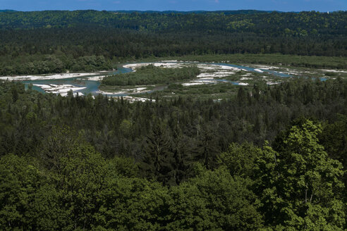 Deutschland, Oberbayern, Fluss Isar bei Pupplinger Au, Isartal - TCF003632