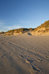 Holland, coast, North Sea, dunes, evening - MYF000052