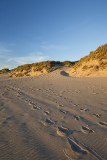 Holland, Küste, Nordsee, Dünen, Abend - MYF000052