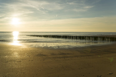 Holland, Nordsee, Küste, Strand am Abend - MYF000047