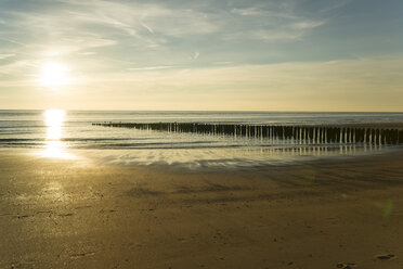Holland, North Sea, coast, beach in the evening - MYF000047
