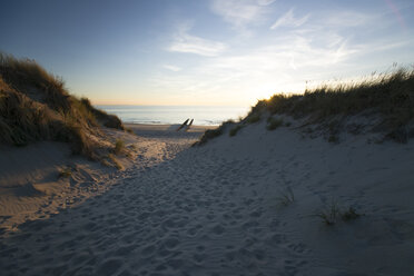 Holland, Nordsee, Küste, Dünen bei Sonnenuntergang - MYF000050