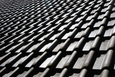 Tiled roof - TCF003646