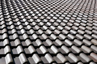 Tiled roof - TCF003647