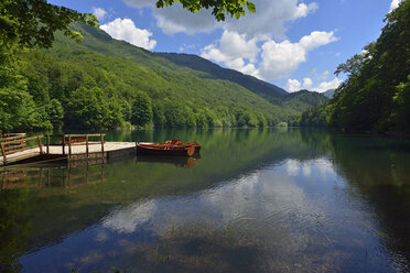 Montenegro, Crna Gora, Biogradsko lake at Biogradsko Jezero National Park - ES000653