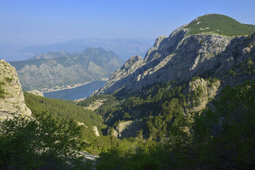Montenegro, Crna Gora, Blick vom Krstac auf die Bucht von Kotor - ES000654