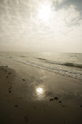 Niederlande, Holland, Bezirk Zeeland, Westenschouwen, Blick auf den Strand - MYF000061