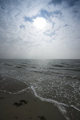 Niederlande, Holland, Bezirk Zeeland, Westenschouwen, Blick auf den Strand - MYF000062