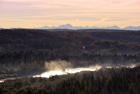 Deutschland, Bayern, Isar im Morgennebel, Pupplinger Au - LHF000291