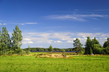 Schweden, Smaland, Kalmar laen, Vimmerby, Landschaft - BT000027