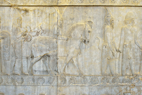 Iran, Achaemenid archeological site of Persepolis, Scythians offering a horse, bas-relief on the Apadana Palace - ES000683