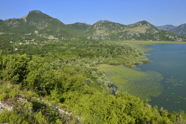 Montenegro, Crna Gora, Skutari, Blick auf den Nationalpark Skadar See - ES000670