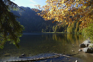 Germany, Baden-Wuerttemberg, Black Forest, Feldsee - DHL000120