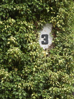 Part of overgrown facade with house number 3 - BSCF000390