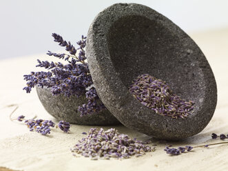 Zwei Steinschalen mit Lavendel (Lavendula angustifolia), Studioaufnahme - SRSF000331
