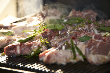 Marinierte rohe Lammkoteletts auf dem Barbecue-Grill - SRSF000314