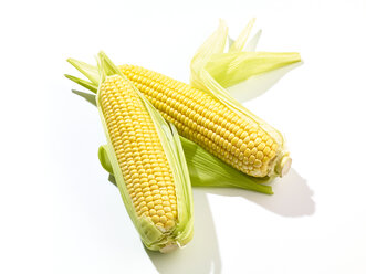 Two corncobs, close-up - SRSF000287